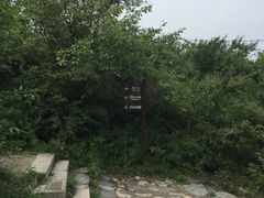 -阳台山自然风景区