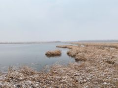 -野鸭湖国家湿地公园