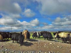 -青海湖国家重点风景名胜区