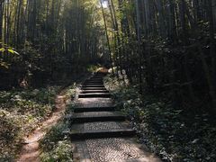 -南山风景名胜区