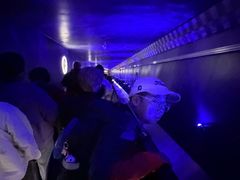 -白鹤梁水下博物馆