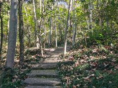 -上海佘山国家森林公园天马山园