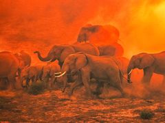 -罗红摄影艺术馆