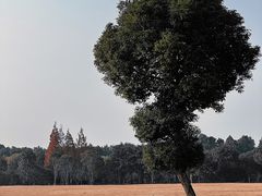 -山明水秀大饭店