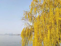 -东湖磨山景区