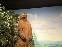 -陕西自然博物馆