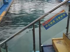 -秦皇岛新澳海底世界