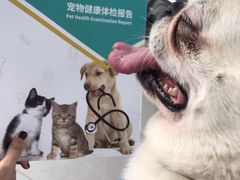 -申普宠物医院·眼科·心内科·影像科(普陀分院)