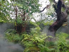 -Chom Cafe and Restaurant