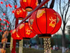-武汉园博园(武汉自然博物馆)