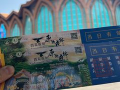 -西双版纳原始森林公园