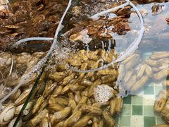 -四海蒸鲜蒸汽海鲜自助(北戴河店)
