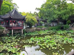 -上海醉白池公园
