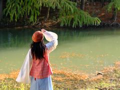 -上海海湾国家森林公园