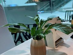 -眉州东坡(华联万柳店)