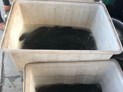 -夏家大锅台炖鱼馆
