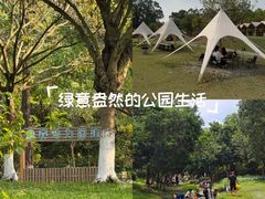 -东莞市大岭山森林公园