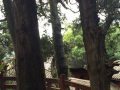 -七曲山风景区