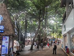 -海南分界洲岛旅游区