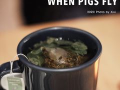 -WHEN PIGS FLY当猪飞