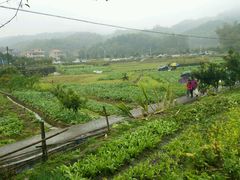 -红山村