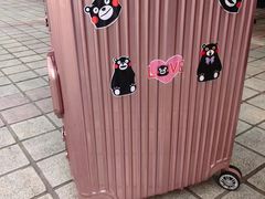 -修拉杆箱·行李箱日默瓦
