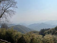 -莫干山风景区