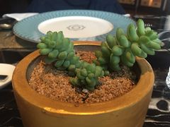 -然庭·新湘菜(紫竹桥店)