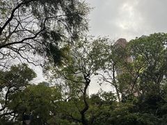 -九龙公园