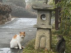 -威海天沐温泉度假区
