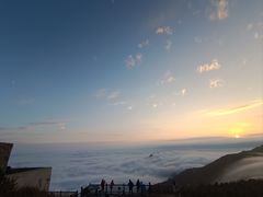 -白草畔自然风景区