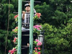 -云南民族村