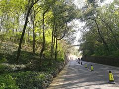 -南山风景名胜区