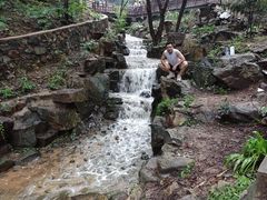 -北京西山国家森林公园