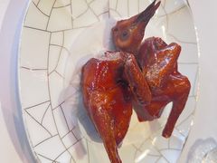 脆皮妙龄鸽-新荣记(建国门外大街店)