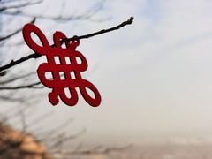 -北京凤凰岭