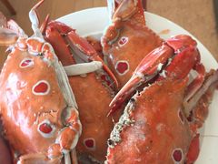 -视界美食自助餐厅·石家庄希尔顿酒店