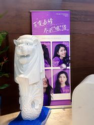 -洁铭新加坡医美