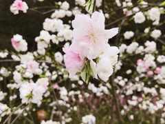 -常德桃花源景区