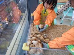 -怪兽屋·羊驼·猫咖·狗咖(俊华广场店)