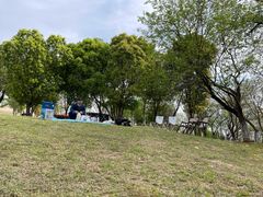 -盘龙城国家考古遗址公园