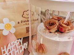-一只小云朵a little cloud