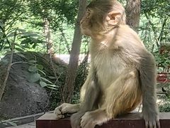 -山西通天峡景区