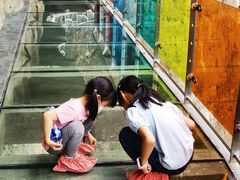 -十渡东湖港风景区