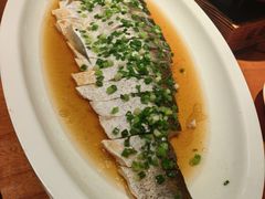 -鸽舞笙平金牌烧鸽子·融合菜(鲁谷店)