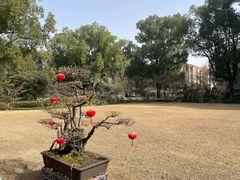 -申粤轩酒楼·三十年粤菜经典(丁香花园店)