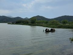 -鸣鹤古镇