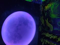 -天津梵高星空艺术馆(天河城旗舰店)