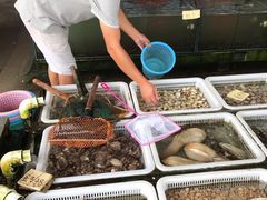 -红月湾海鲜饭店•沙滩海景(双月湾店)