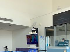 -胡志明新山一国际机场